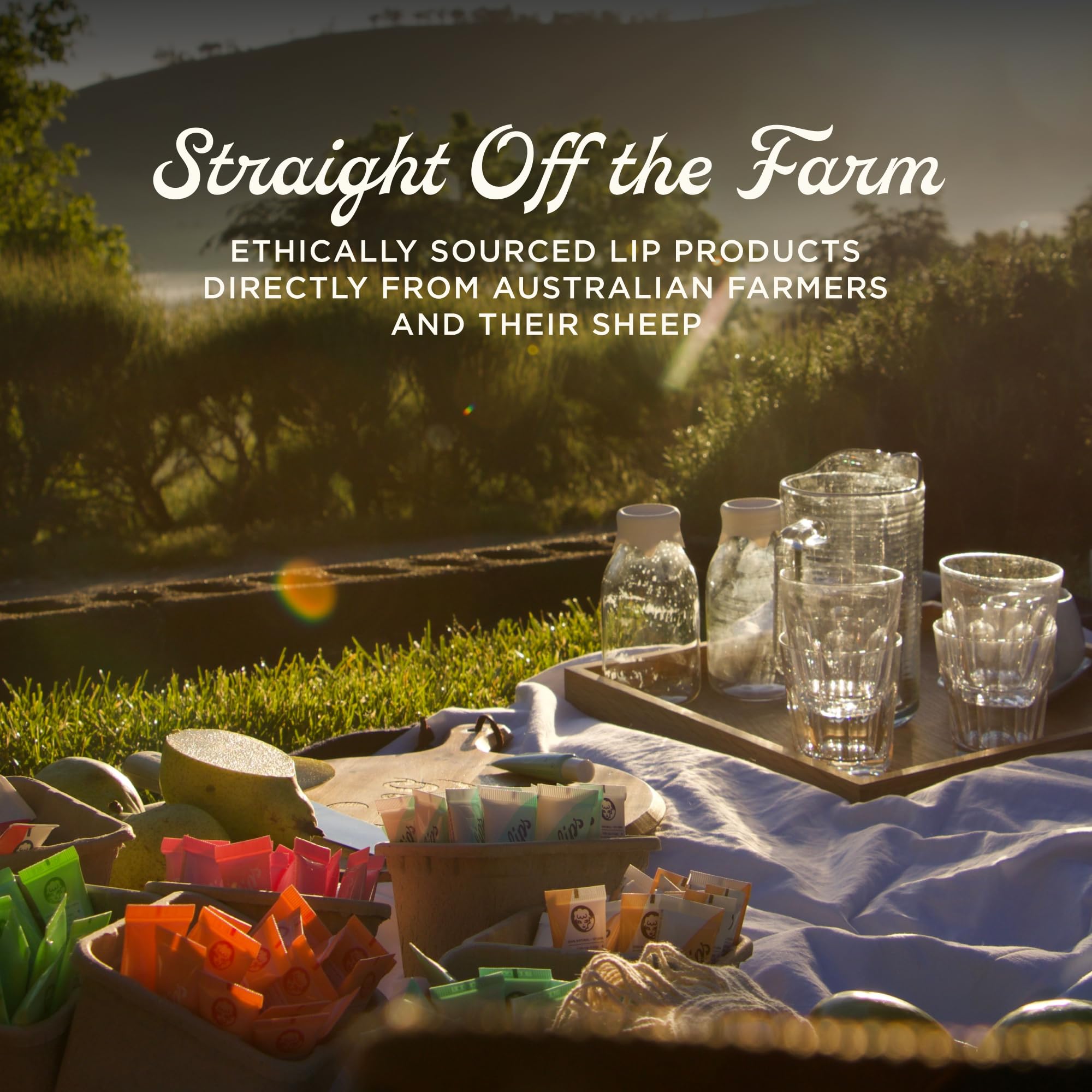 Lanolips Triple-Lanolin Hand Rescue Trio – Vanilla, Rose & Coconutter Hand Creams (50ml Each) – Cuticle & Hand Creams for Dry, Cracked Hands - Image 8